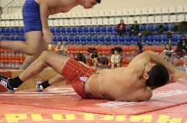 IMG_7177.JPG