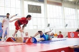 IMG_8755.jpg