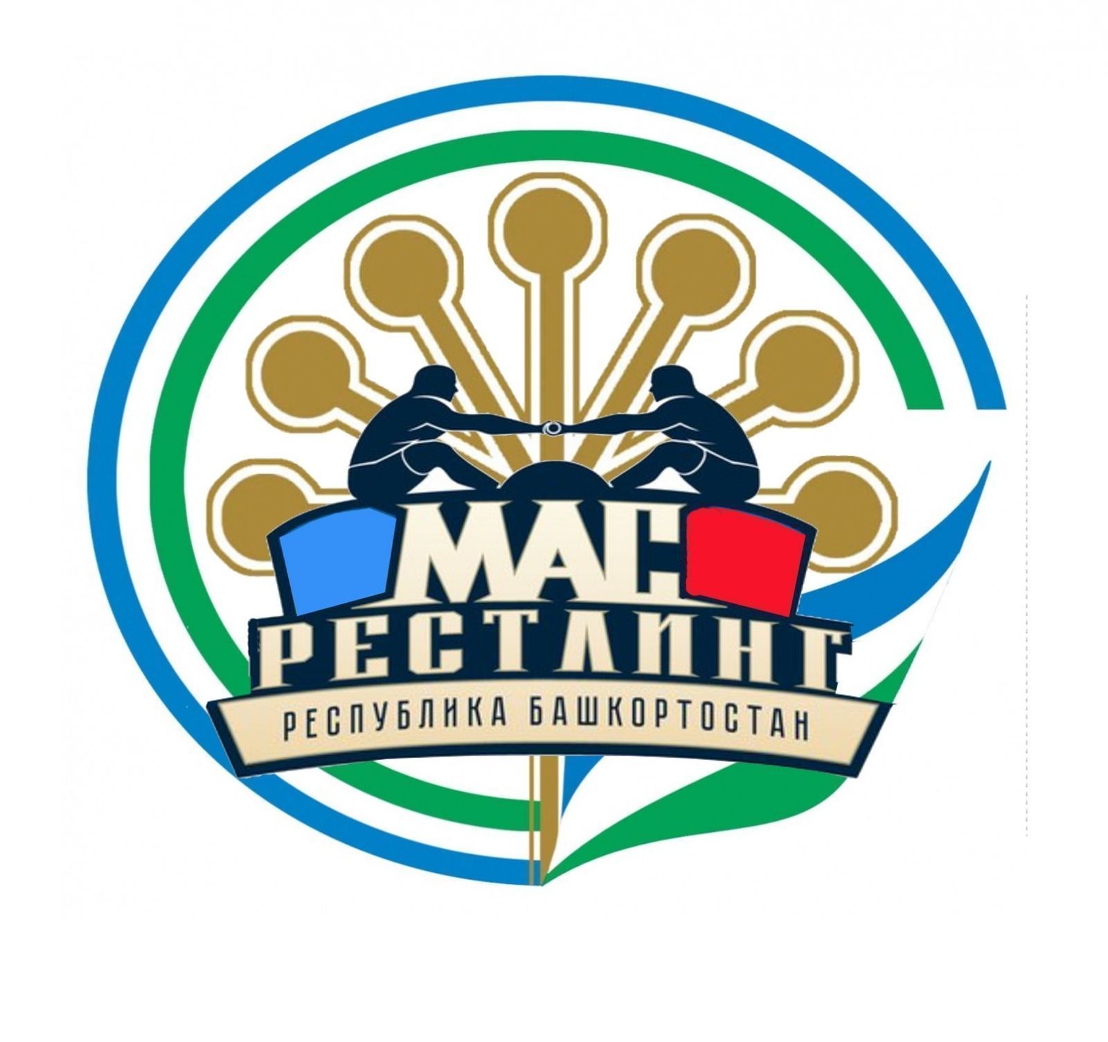 В Республике Башкортостан появилась своя федерация мас-рестлинга