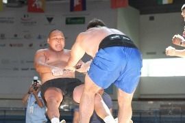 img_1239.jpg