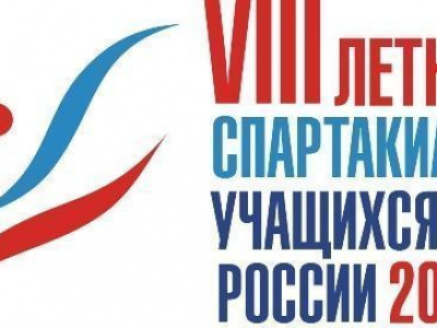 Соревнования по мас-рестлингу в рамках VIII Спартакиады учащихся России 2017 года