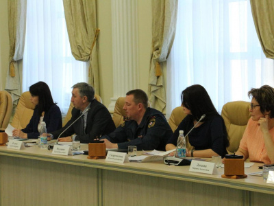 Ход подготовки Ульяновской области к I Фестивалю национальных видов спорта стран СНГ высоко оценили спортивные функционеры зарубежья