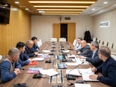 VIII Чемпионат мира по мас-рестлингу пройдет 26-30 ноября в г. Казани