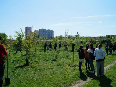 Мас-рестлинг на студенческом субботнике (фото). 