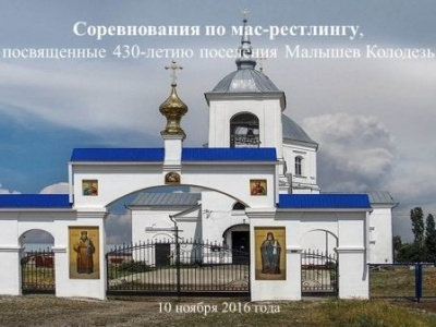 Соревнования по мас-рестлингу, посвященные 430-летию поселения Малышев Колодезь