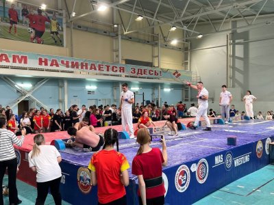 II этап Северного дивизиона Школьной лиги мас-рестлинга собрал лучших