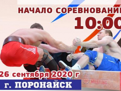 Межмуниципальный турнир по мас-рестлингу (Сахалинская область)