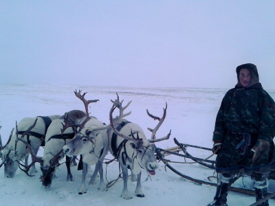 Настоящий человек Дмитрий Сэротэтто и его путь в мас-рестлинг.